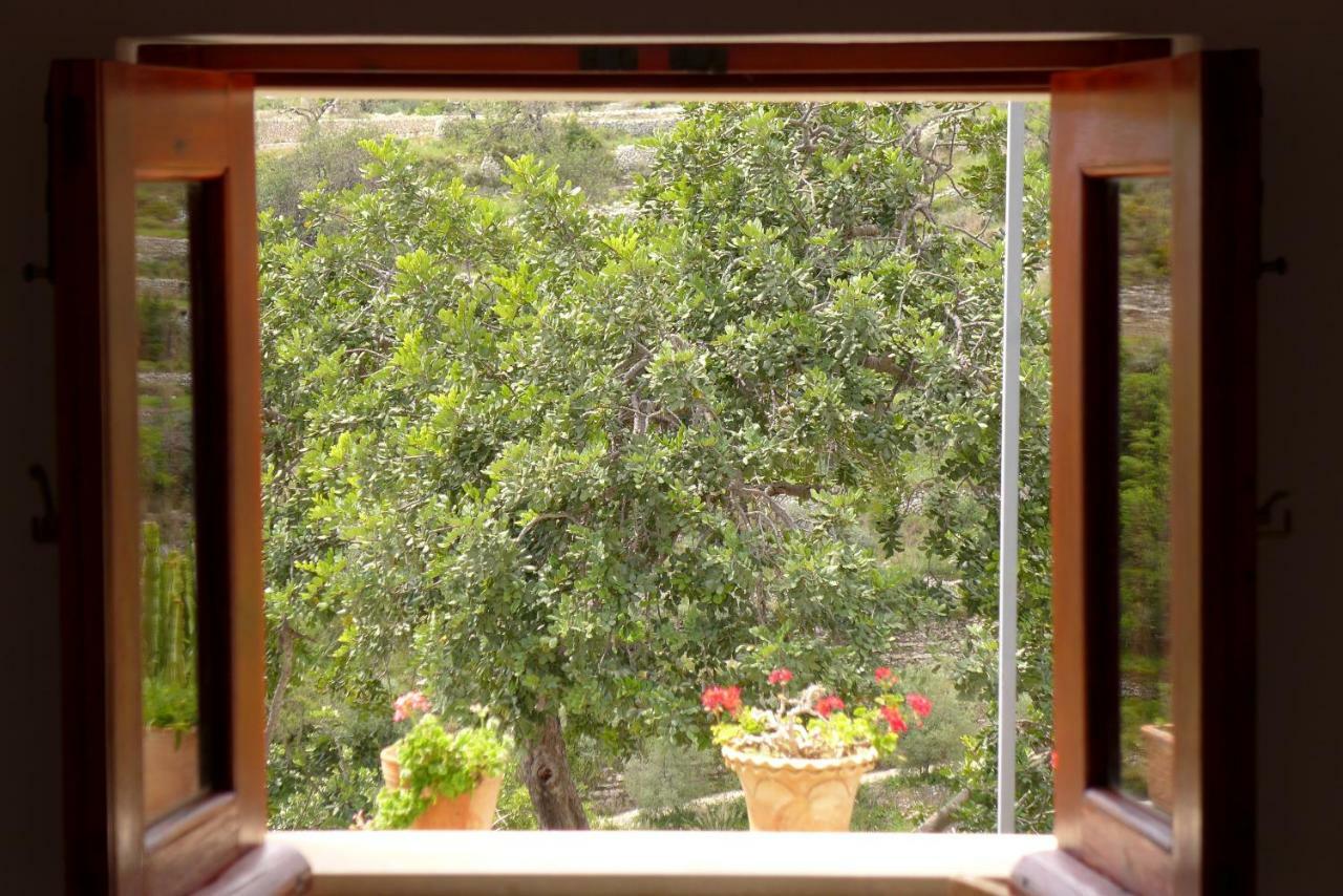 La Suma Sumalia Bed & Breakfast Ното Екстериор снимка